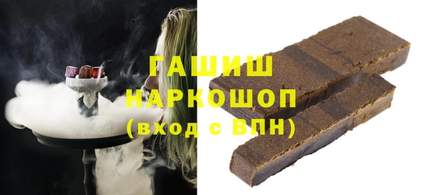 прущие грибы Новозыбков
