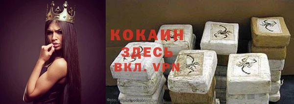 прущие грибы Новозыбков