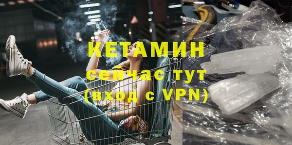 прущие грибы Новозыбков