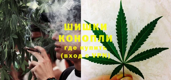 твердый Новокубанск