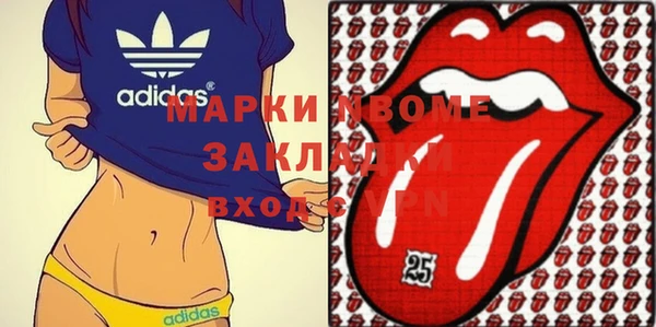 прущие грибы Новозыбков