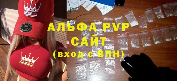 прущие грибы Новозыбков