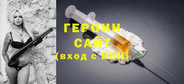 прущие грибы Новозыбков