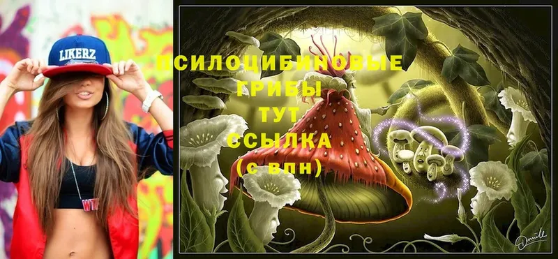 Галлюциногенные грибы Magic Shrooms  Лангепас 